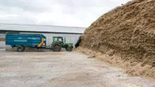 alimentation-mais-ensilage