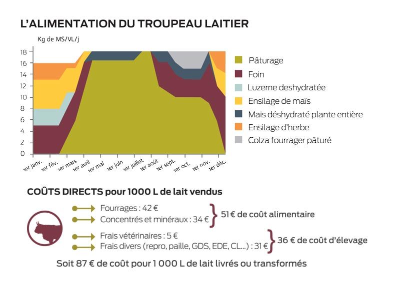 alimentation-troupeau-laitier