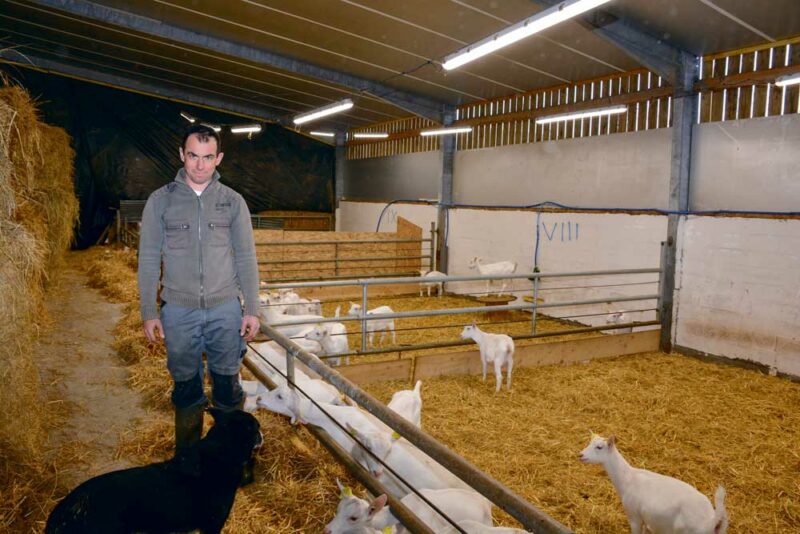 Régis Desaize, agriculteur à Trémeheuc (35), devant l’aire paillée de 6 mètres de large, où ont été aménagées 2 rangées de néons Led simple tube. Un treuil permet de nettoyer et d’entretenir les néons au sol.