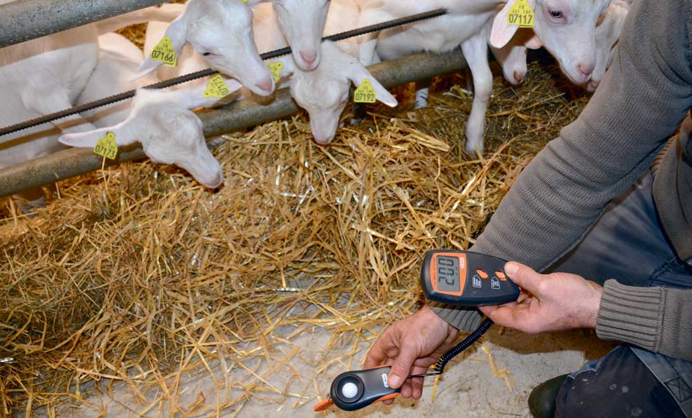 chevre-luminosite - Illustration Désaisonner les chevrettes avec un traitement lumineux