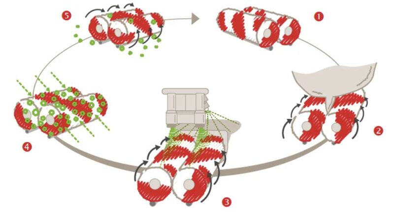 Cycle d’utilisation des brosses du Lely Astronaut A4