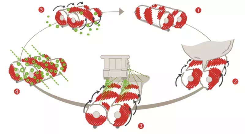 Cycle d’utilisation des brosses du Lely Astronaut A4