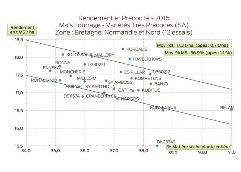 mais-rendement-precocite-SA