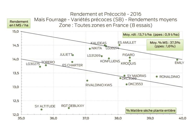 mais-rendement-precocite-SB-1