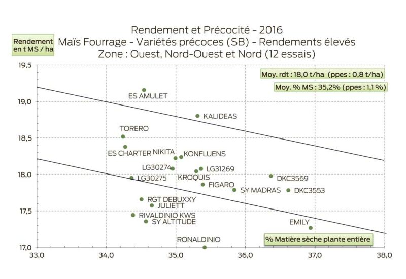 mais-rendement-precocite-SB-2