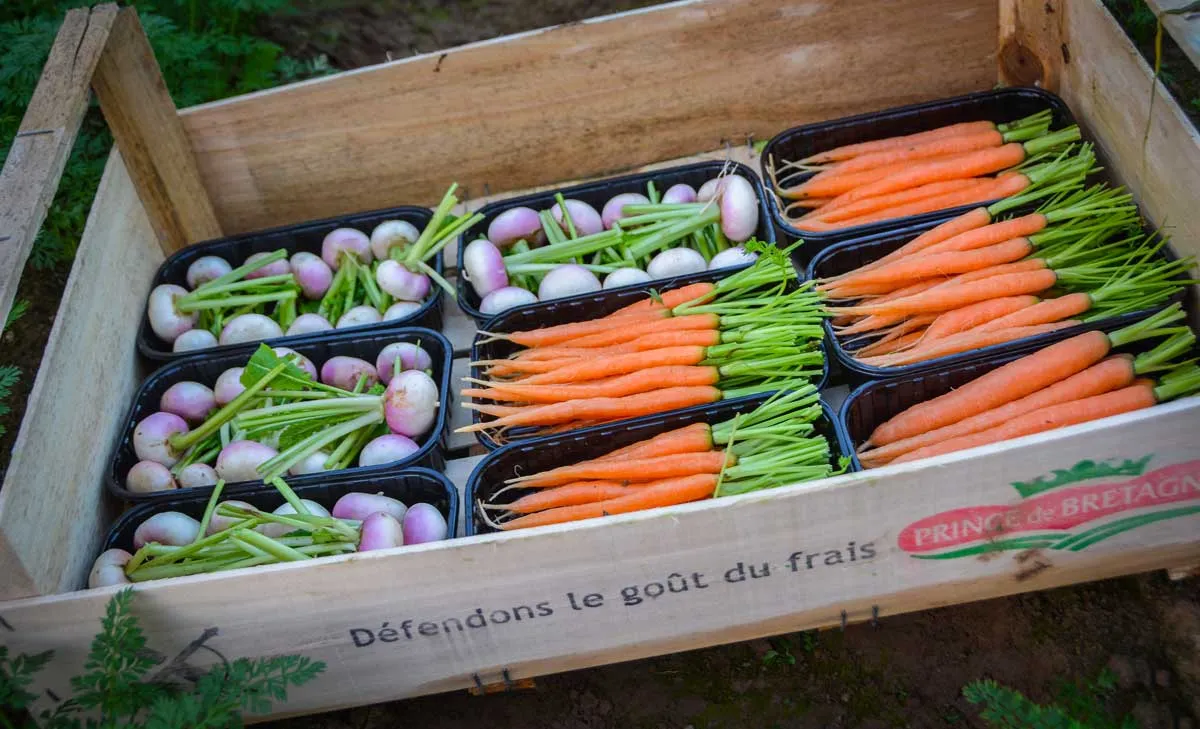 mini-legumes - Illustration Maxi soins pour mini-légumes