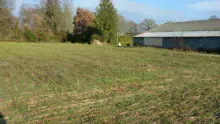 L’évolution et l’implantation de la céréale, au 5 décembre.