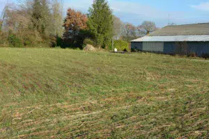 L’évolution et l’implantation de la céréale, au 5 décembre.