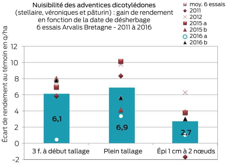 nuisibilite-dicots-ble