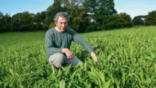 Pascal Salaün producteur de lait bio à Ploubezre (22) au milieu d’une parcelle ou la chicorée et le plantain se sont bien développés résistant à l’été sec.