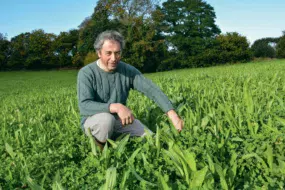 Pascal Salaün producteur de lait bio à Ploubezre (22) au milieu d’une parcelle ou la chicorée et le plantain se sont bien développés résistant à l’été sec.