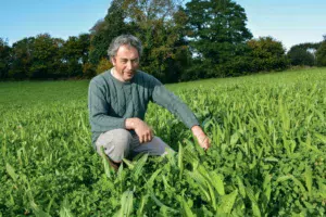 Pascal Salaün producteur de lait bio à Ploubezre (22) au milieu d’une parcelle ou la chicorée et le plantain se sont bien développés résistant à l’été sec.