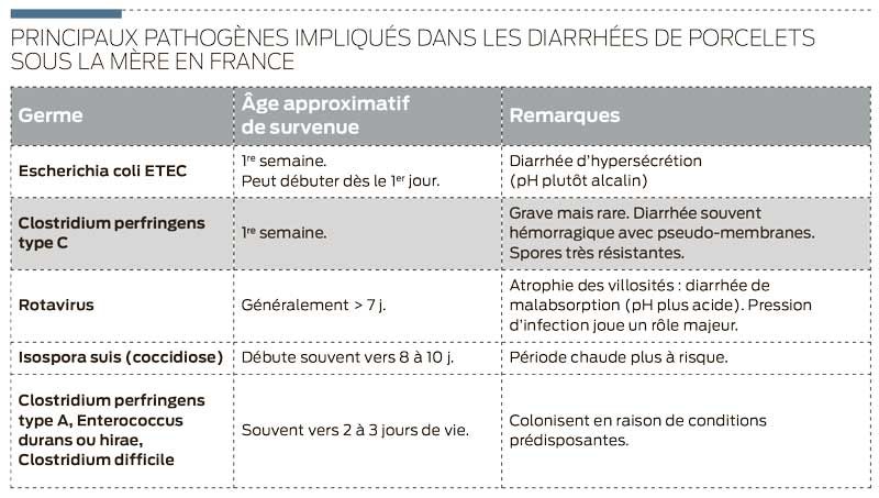 pathogene-diahrree