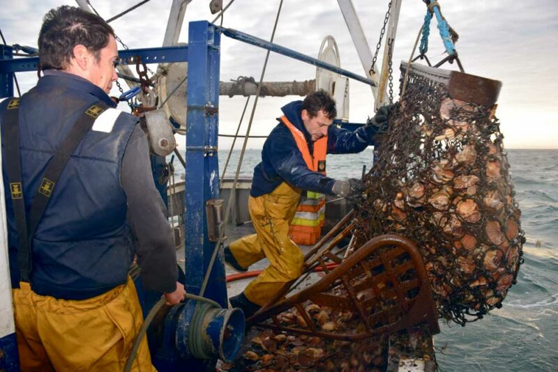 Sur L'Emma-Loan, Guillaume Denigot, patron-pêcheur, fait équipe avec Cédrick Hervel le temps de la saison des coquilles Saint-Jacques.