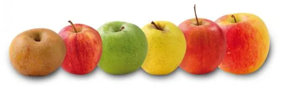 pommes - Illustration Un cartel de la compote sanctionné à hauteur de 58 M€