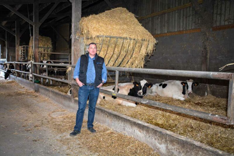 « Les vaches taries ont leur espace spécifique avec un box de vêlage, dans le bâtiment servant aussi aux génisses et taurillons », explique Stéphane Fournier.