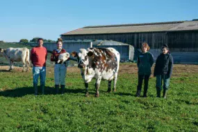 « Les vaches taries sont ramenées près de la stabulation trois semaines à un mois avant vêlage. Elles mangent alors du maïs, du foin et un complément spécial tarissement », expliquent Henri et Laurence Martin, ici en compagnie de leur fille Charlène, et d’Océane, stagiaire (à droite).