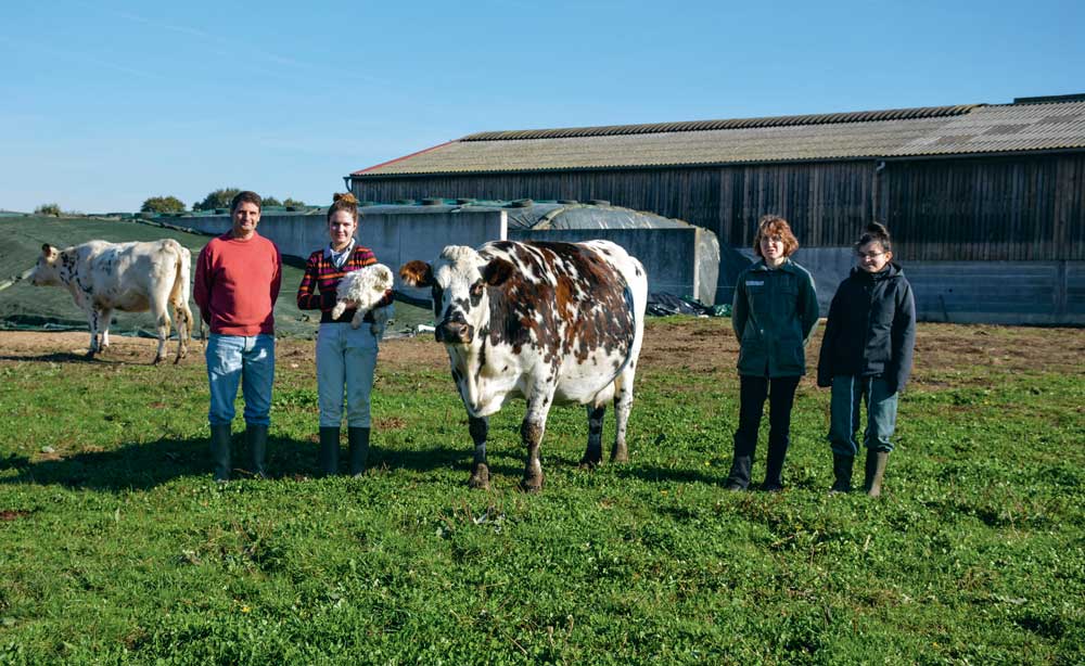 « Les vaches taries sont ramenées près de la stabulation trois semaines à un mois avant vêlage. Elles mangent alors du maïs, du foin et un complément spécial tarissement », expliquent Henri et Laurence Martin, ici en compagnie de leur fille Charlène, et d’Océane, stagiaire (à droite). - Illustration Changement de menu pour les taries