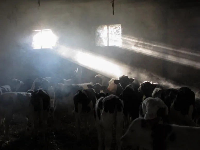 Fiche_Ventilation_du_batiment-fumigation