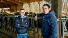 Vendredi 20 janvier, Maxime Taurin et Jonhatan Roulin ont accueilli les présidents des Chambres d’agriculture de Bretagne sur leur exploitation à l’occasion d’une conférence de presse sur la régionalisation des instances consulaires agricoles bretonnes.