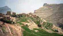 Yemen_agriculture-credit-wikimedia