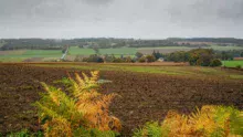 foncier-terre-champ