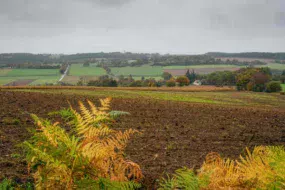 foncier-terre-champ