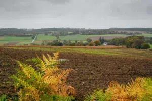 foncier-terre-champ