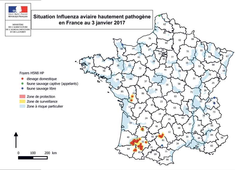 grippe-aviaire-janvier-2017