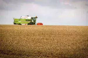 moisson-claas