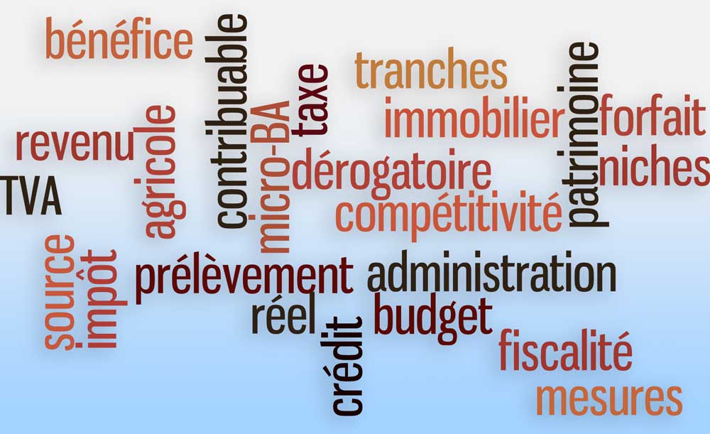 mots-cles-gestion-fiscalite-impot - Illustration Absence de réformes fiscales agricoles majeures