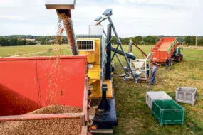 L’attelage mobile de Protéa Thermic propose une prestation de tri (séparation des graines des cultures de mélange) et de toastage à la ferme dans tout le grand Ouest. Ce grillage par voie sèche protège la fraction protéique des graines de protéagineux (ici de la féverole) améliorant ainsi la valorisation par les animaux.