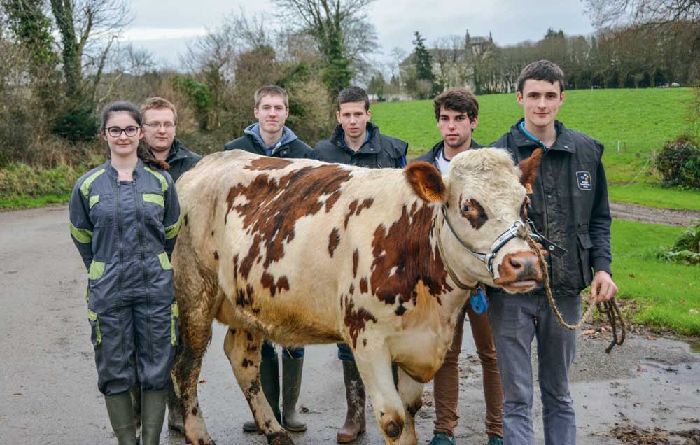 De gauche à droite : Marie Grignoux, élève de BTS production animale, Christian Le Corre, responsable de l’atelier lait du lycée, Louis-Marie Trotel, Erwan Guéguen, Damien Cren et Erwan Le Gall, élèves de BTS. - Illustration TNLA 2017 : la passion les mène jusque Paris