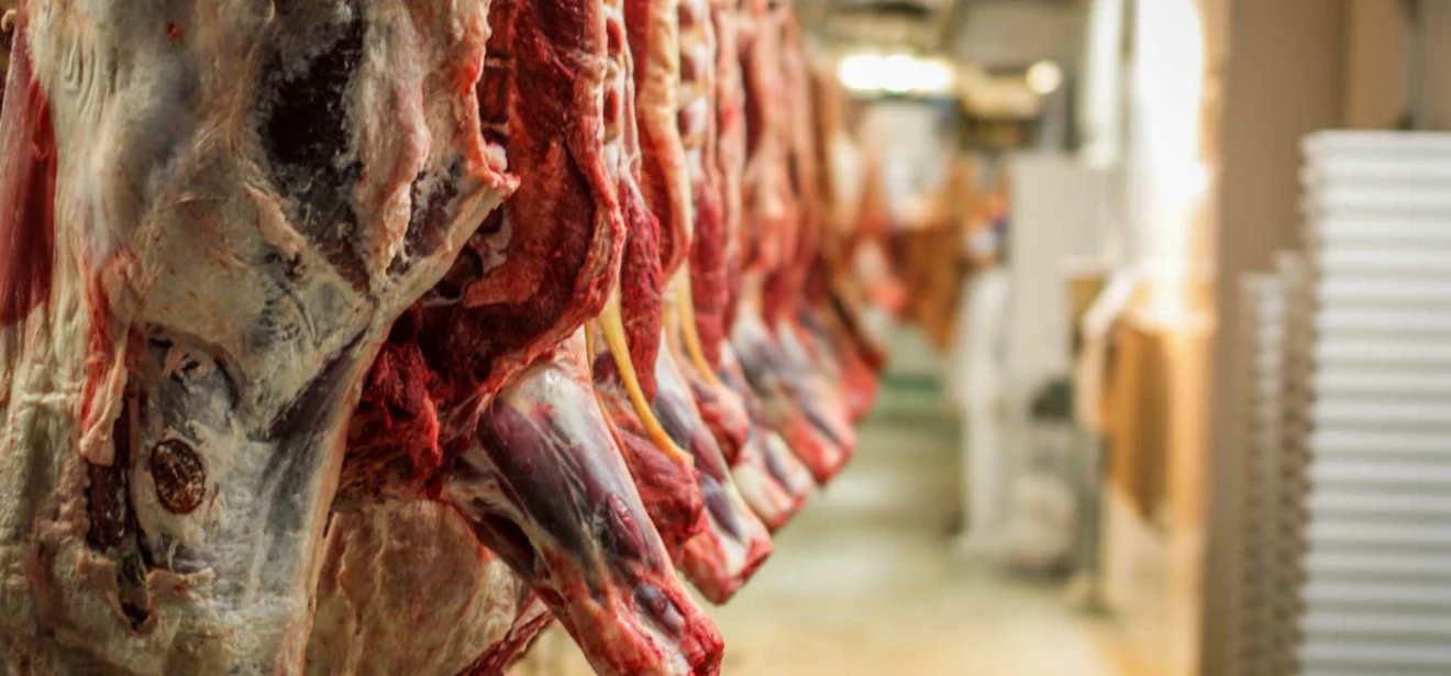 viande-abattoir-carcasse - Illustration Chine : levée de l’embargo ESB sur le bœuf français