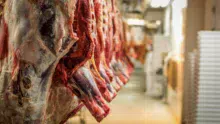 viande-abattoir-carcasse