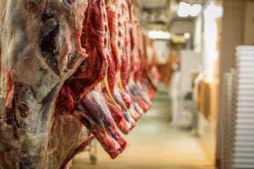 viande-abattoir-carcasse