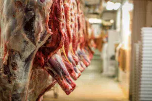 viande-abattoir-carcasse