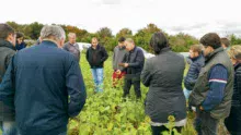 Formation Agrosol sur le thème « réussir ses semis de céréales en non-labour »