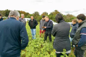 Formation Agrosol sur le thème « réussir ses semis de céréales en non-labour »