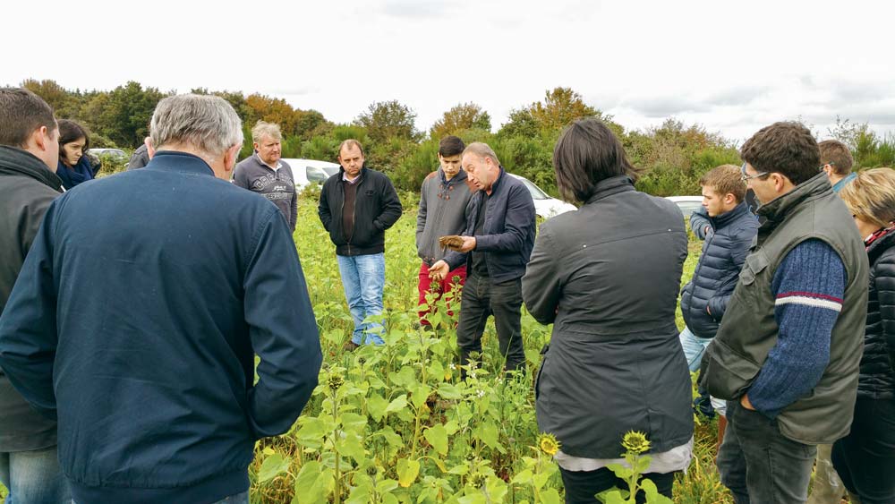 Formation Agrosol sur le thème « réussir ses semis de céréales en non-labour » - Illustration Capinov Agrosolutions, plus loin que l’analyse