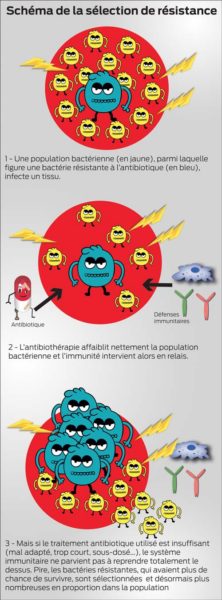 antibio-resistance-infographie