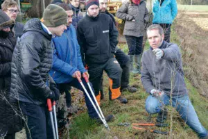 Samuel Le Port (à droite) réalise une démonstration de taille. Sur le bassin du Blavet, la moyenne est de 35 mètres linéaires de haies par hectare de SAU (20 mètres à Cléguérec et 65 mètres sur le Morbihan).