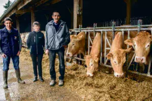 Jean-Paul, Germaine et Joël Boittin gèrent un troupeau de 25 mères blondes d’Aquitaine.