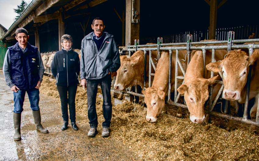 Jean-Paul, Germaine et Joël Boittin gèrent un troupeau de 25 mères blondes d’Aquitaine. - Illustration Lait et viande depuis plus de 20 ans