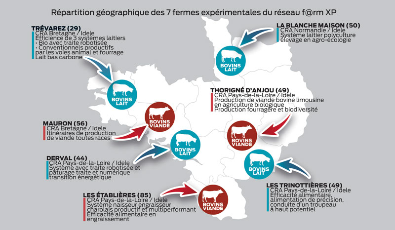 farmxp - Illustration Bovin : la recherche appliquée s’inter-régionalise