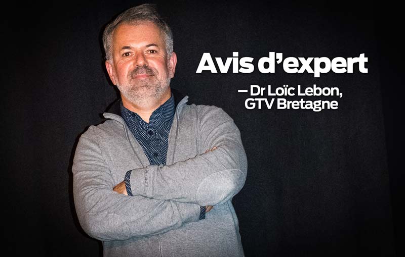 loic-lebon-GTV-bretagne - Illustration Le diagnostic étiologique des diarrhées