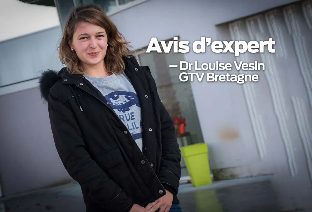 louise-vesin-gtv-bretagne - Illustration Au chevet du veau diarrhéique, les bons gestes