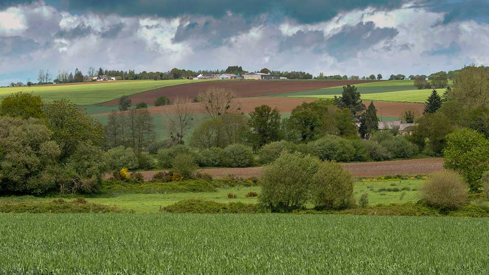 paysage - Illustration “Préparer la Pac de demain”