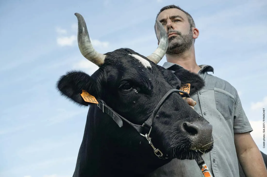 pie-noir-Parchet-fine-sia2017 - Illustration Menacée de disparition, la Bretonne Pie Noir a trouvé son marché