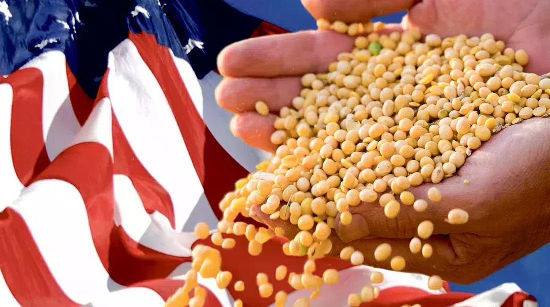 soja-usa-commerce - Illustration Commerce : les USA à l’heure du pragmatisme